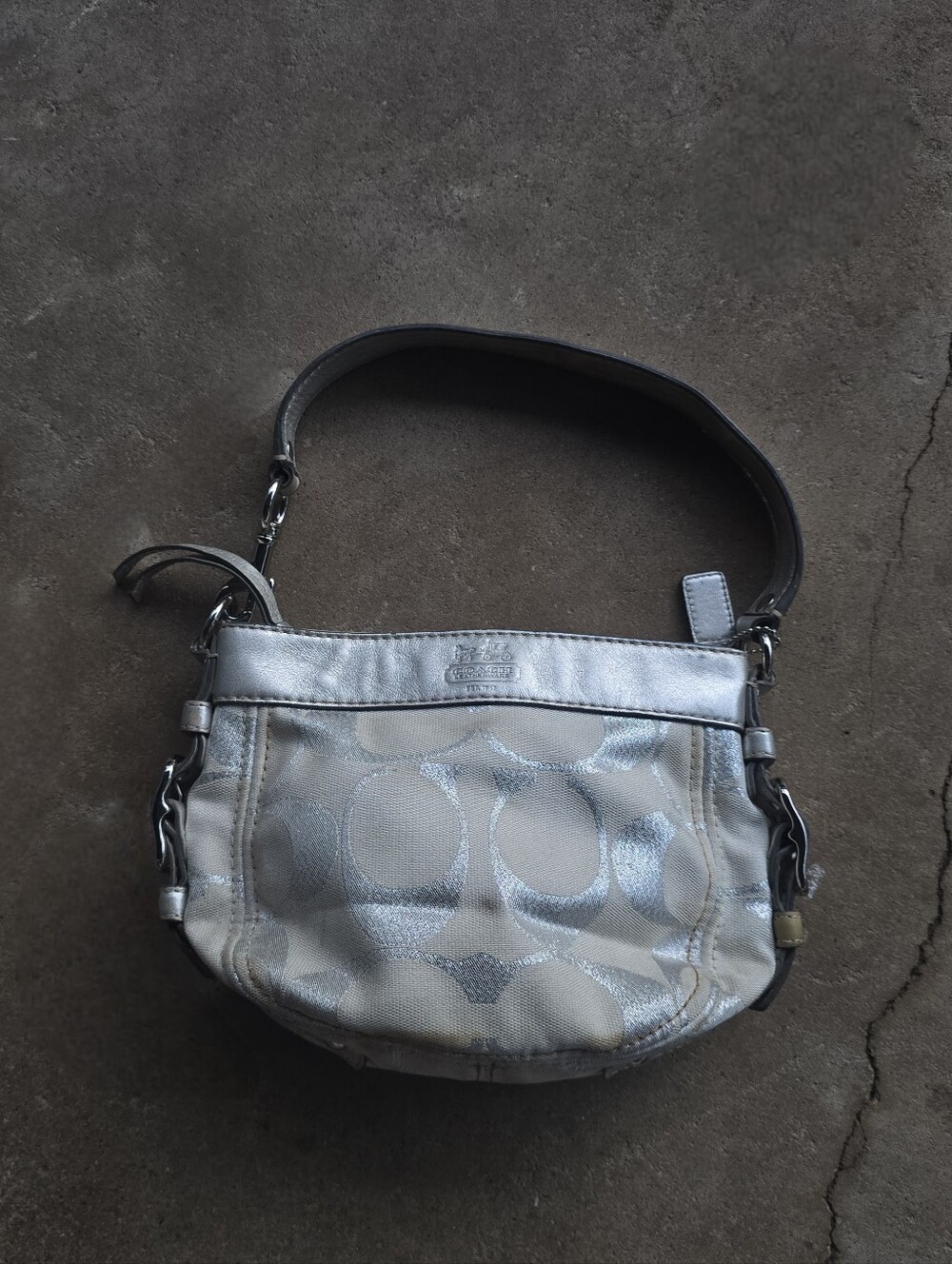 Coach Zoe Hobo Small Shoulder Purse Bag Silver Signature F44264